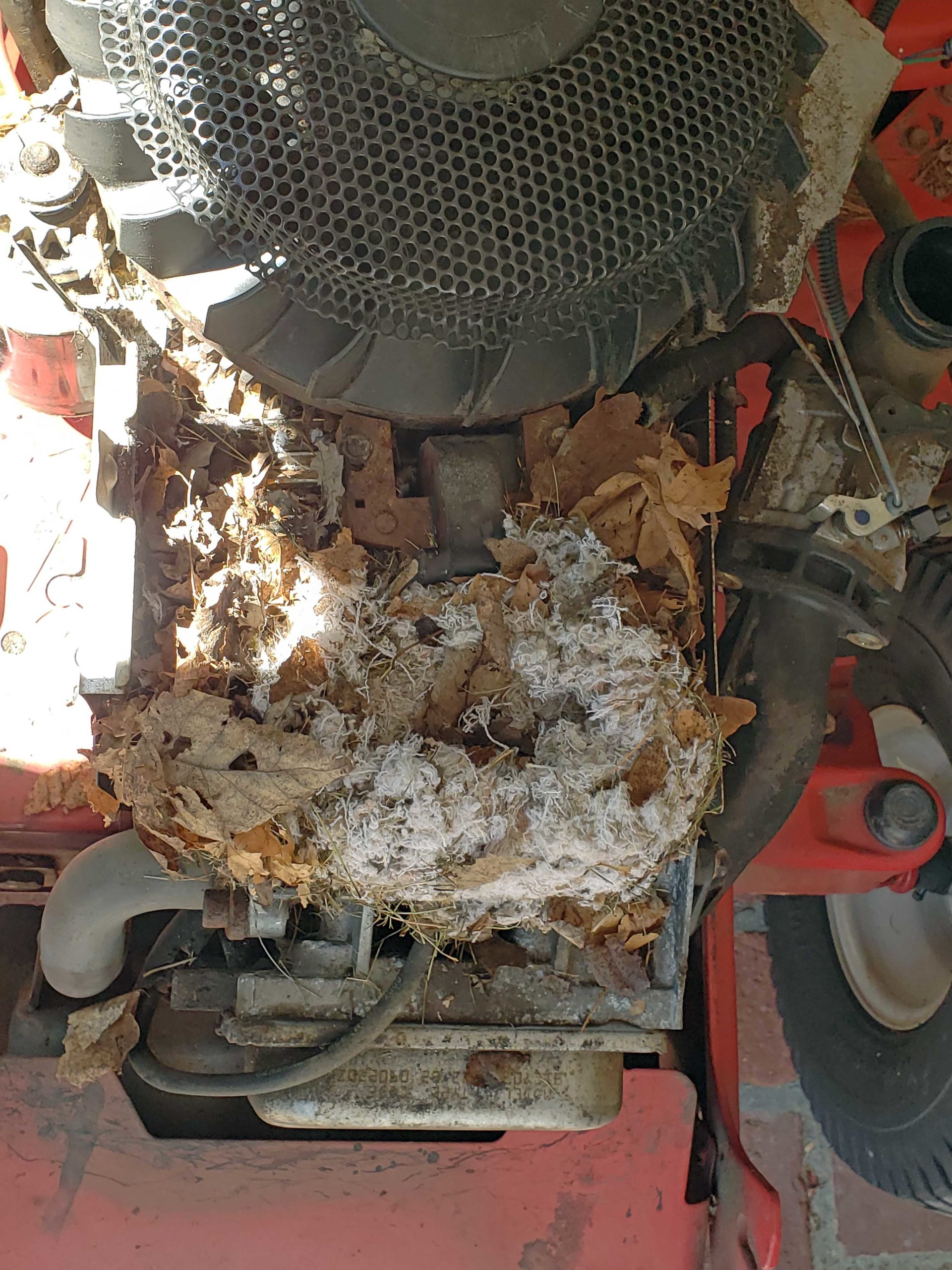 Mouse nest under engine cover will cause overheating in just 2-3 minutes of running! This is why we suggest a yearly tune up to prevent this kind of permanent damage!